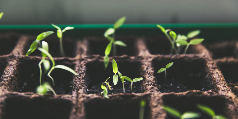 Outgrowing Your Company Culture? | Aileron